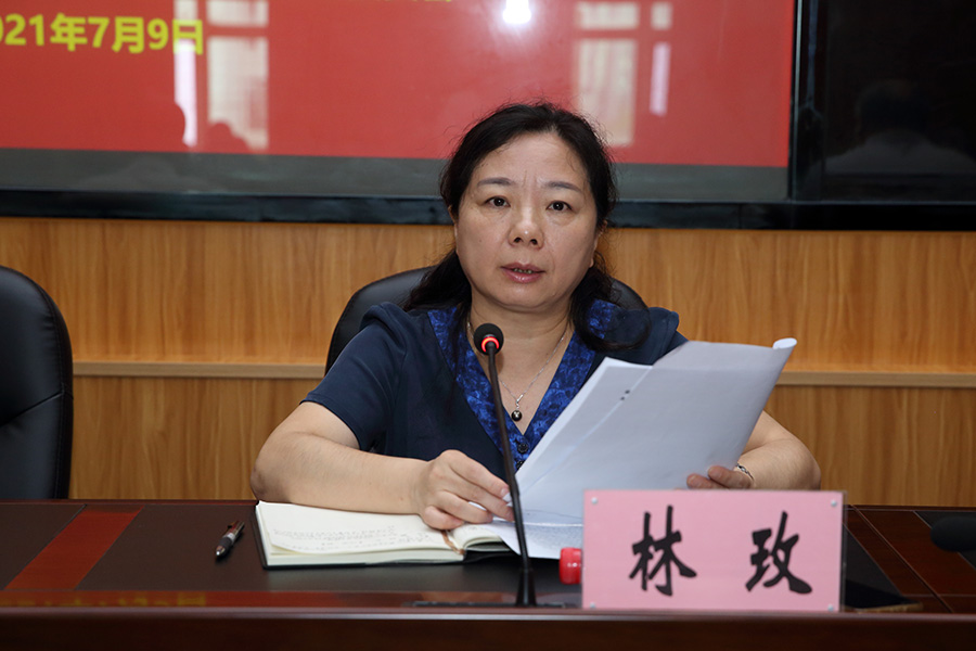 党委副书记、中心主任林玫讲话.jpg